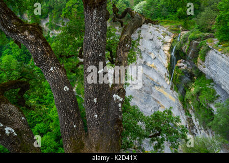 Gujuli Wasserfall auf der fernen Felswand, Naturpark Gorbeia, Alava, Baskenland, Spanien, Mai 2015. Stockfoto