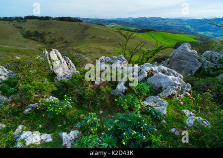 Blick vom Berg Cerredo, Noja, Kantabrien, Spanien, April 2015. Stockfoto