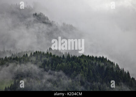 Bergrücken in den österreichischen Alpen Partei verdunkelt durch Nebel und Wolken Stockfoto