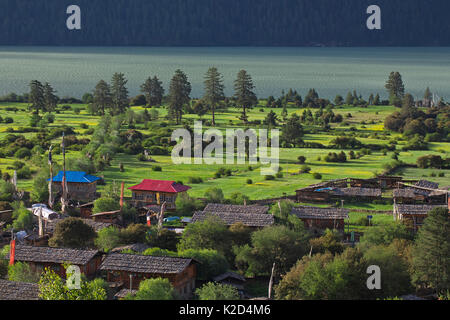 Landschaft von Dorf in Basongcuo Nationalpark, Qinghai-Tibet Plateau, Tibet, Juli. Stockfoto