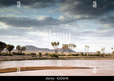 Ewaso Ngiro River Landscape, Samburu Game Reserve, Kenia, Afrika, August. Stockfoto