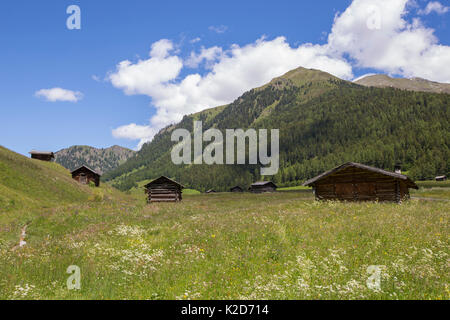 Scheunen in Almwiese. Nordtirol, Österreichische Alpen, Österreich, Juni. Stockfoto