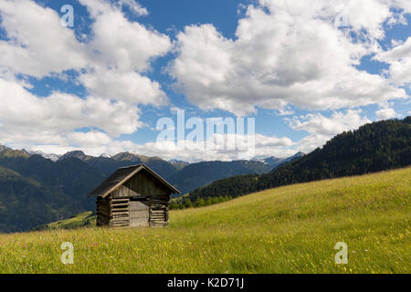 Scheune in Almwiese. Nordtirol, Österreichische Alpen, Österreich, Juni. Stockfoto
