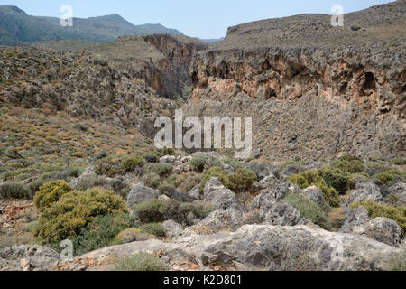 Zakros Schlucht, auch genannt die "Schlucht der Toten" aufgrund der Minoischen Höhle Bestattungen, Kato Zakros, Sitia Natur Park, Lassithi, Kreta, Griechenland, Mai 2013. Stockfoto