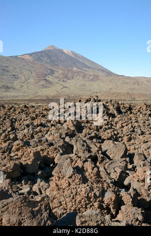 Lava fließt von der alten Peak/Pico Viejo auf den Teide in die Stacheligen, uneben, aa oder malpais Form, Nationalpark Teide, Teneriffa, Kanarische Inseln, Mai. Stockfoto