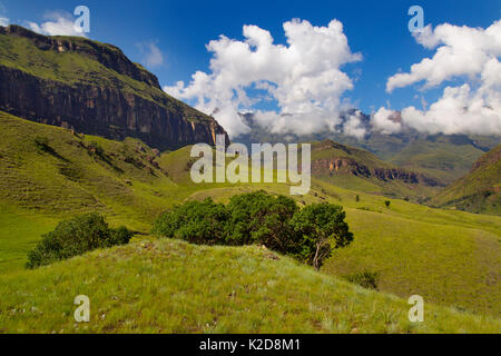 Cathedral Peak, Drakensberg, Kwazulu Natal, Südafrika, Januar 2016. Stockfoto