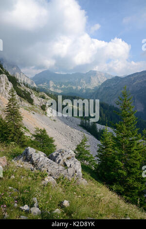 Kalkstein Felsen und Geröll an den Hängen des Mount Maglic, Bosniens höchster Berg, mit Blick auf die Velika Vitao peak in Montenegro über die nahe Grenze, Nationalpark Sutjeska, Bosnien und Herzegowina, Juli 2014. Stockfoto