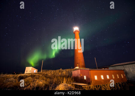 Nordlicht über Andenes Leuchtturm, Andoya Andenes, Island, North Atlantic Ocean, Norwegen Januar 2016 angezeigt Stockfoto