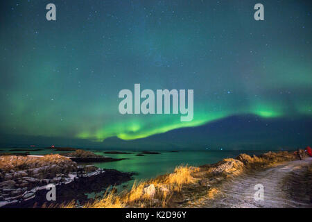 Northern Lights oberhalb der Küste in der Nähe von Andenes Leuchtturm, Andoya Andenes, Island, North Atlantic Ocean, Norwegen, Januar 2016 Stockfoto