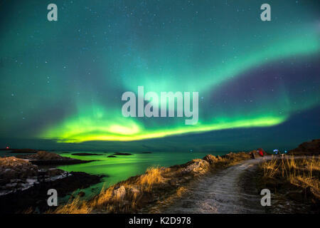 Northern Lights oberhalb der Küste in der Nähe von Andenes Leuchtturm, Andoya Andenes, Island, North Atlantic Ocean, Norwegen, Januar 2016 Stockfoto