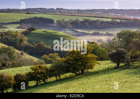 Herbst Blick Richtung St. Catherines Tal von Cold Ashton, Gloucestershire. St. Catherine's Tal ist eine biologische Seite von besonderem wissenschaftlichen Interesse. Oktober 2015. Stockfoto