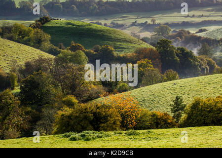 Herbst Blick Richtung St. Catherines Tal von Cold Ashton, Gloucestershire. St. Catherine's Tal ist eine biologische Seite von besonderem wissenschaftlichen Interesse. Oktober 2015. Stockfoto