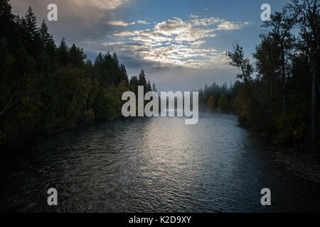 Adams River, Roderick Haig-Brown Provincial Park, British Columbia, Kanada Oktober. Stockfoto