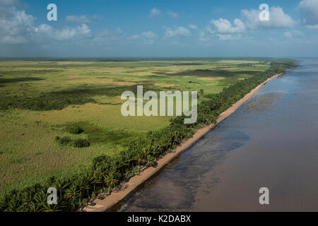 Luftaufnahme von Shell Beach, nördlich von Guyana, Südamerika Stockfoto