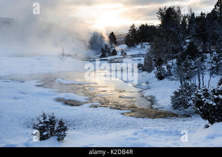 Sonnenaufgang am oberen Terrassen von Mammoth Hot Springs, Yellowstone National Park, Wyoming, USA. Januar 2016. Stockfoto