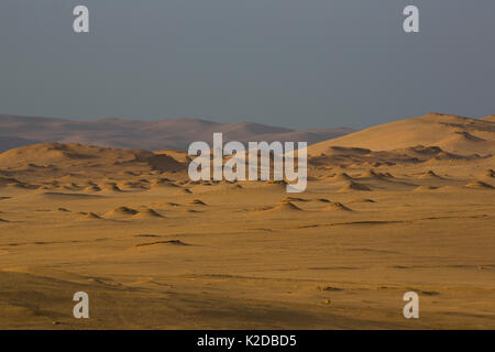 Nazca wüsten Landschaft, Paracas National Reserve, Peru, Oktober 2013 Stockfoto