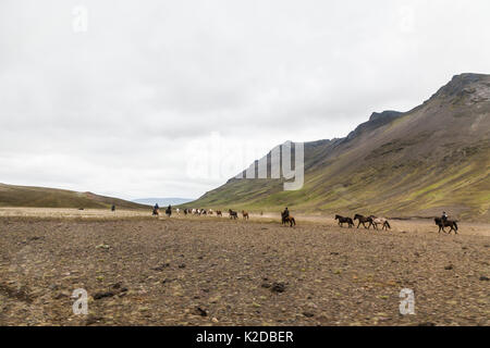 Reiter Hütehunde und Treibhunde der Islandpferde in Landschaft, Island, Juli 2012. Stockfoto