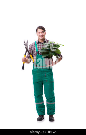 Junger Mann Gärtner isoliert auf weiss Stockfoto
