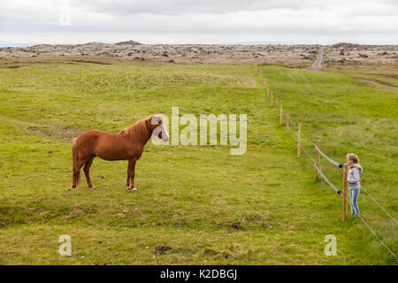 Junge Mädchen an Islandpferd, Island suchen, Juli 2012. Stockfoto