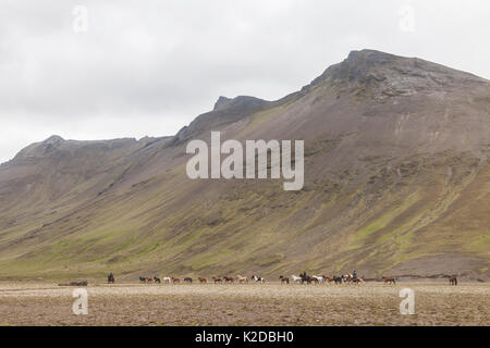 Isländische Landschaft mit Pferden in der Entfernung, Island, Juli 2012. Stockfoto