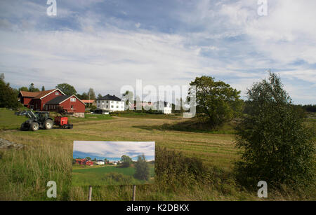 Wechsel der Jahreszeiten, Sommer Bild/Foto angezeigt im Herbst Landschaft, "Die Zeit" von der Künstlerin Pal Hermansen. Valer, Ostfold County, Norwegen. Juli 2014. Stockfoto