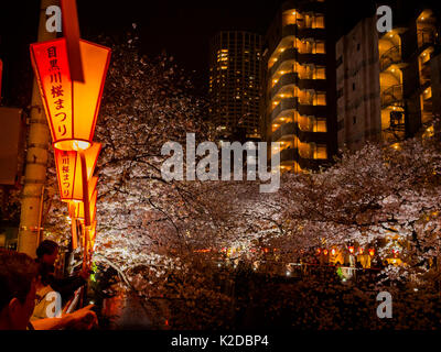 Yokosuka, Japan - Juli 02, 2017: Nicht identifizierte Personen, die Kirschblüten in der Nacht in Higashiyama Bezirk mit der Frühling in Kyoto. Stockfoto