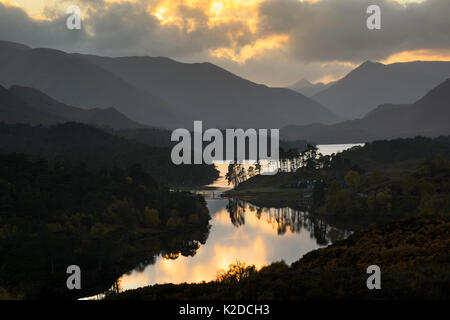 Birke (Betula pendula) und Gemeine Kiefer (Pinus sylvestris) Wald um Loch Affric bei Dämmerung, Glen Affric, Highlands, Schottland, UK Oktober Stockfoto