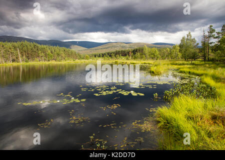 Uath Lochan mit stürmischen Himmel im Wasser spiegelt, Cairngorms National Park, Schottland, Großbritannien, Juli 2014. Stockfoto