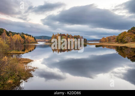 Farben des Herbstes und stürmischen Wolken in den ruhigen Wassern des Loch Insh, Cairngorms National Park, Schottland, UK, November 2015 wider. Stockfoto