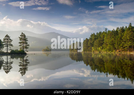 Loch ein Eilein mit bewaldeten Kanten in der Morgensonne, Cairngorms National Park, Schottland, Großbritannien, Oktober 2015. Stockfoto