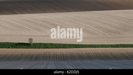 Ackerland Felder gepflügt und mit Zuckerrüben Setzlinge gepflanzt, Villers le Sec, Frankreich, April 2016. Stockfoto