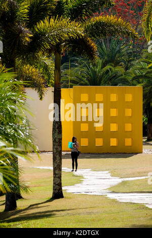 Botanischer Garten Inhotim, Kunstinstallation Helio Oiticica am Inhotim Institute, Brumadinho, Minas Gerais, Brasilien Stockfoto