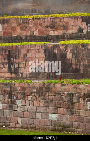 Grundlagen der Coricancha Inka Tempel, Cusco, Peru, Südamerika Stockfoto