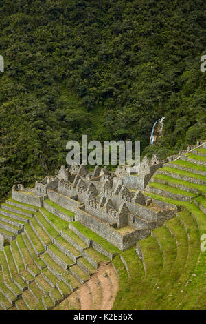 Historischen Ruinen von Inca Stadt und landwirtschaftlichen Terrassen an Winay Wayna, auf dem Inka Trail nach Machu Picchu, Peru, Südamerika Stockfoto