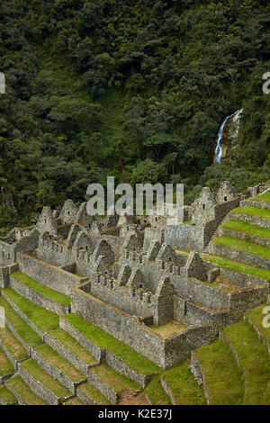 Historischen Ruinen von Inca Stadt an Winay Wayna, auf dem Inka Trail nach Machu Picchu, Peru, Südamerika Stockfoto