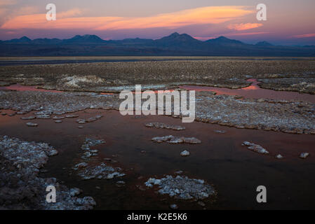 Sonnenuntergang, Lagune Laguna Chaxa in den Salzsee Salar de Atacama, hinter Vulkane der Anden, Soncor Stockfoto