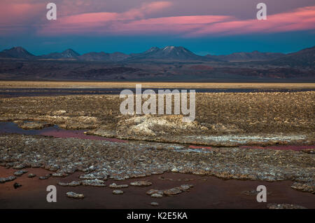 Sonnenuntergang, Laguna Chaxa Lagune im Salar de Atacama salt lake, hinter Lascar Vulkan, Soncor, Los Flamencos National Reserve Stockfoto