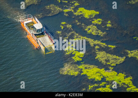 Schiff Mähen auf dem Kemnader See, Kemnader Stausee, die Steuerung der Elodea, waterweed (Elodea), Bochum, Ruhrgebiet Stockfoto