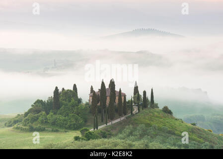 Podere Belvedere, einzelnes Gehöft, neblige Stimmung, San Quirico d'Orcia, Val d'Orcia, Toskana, Italien Stockfoto