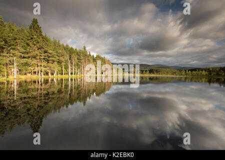 Lochan im Abendlicht, Uath Lochans, Glenfeshie, Cairngorms National Park, Schottland, UK, September 2013. Stockfoto