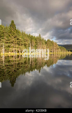 Lochan im Abendlicht, Uath Lochans, Glenfeshie, Cairngorms National Park, Schottland, UK, September 2013. Stockfoto