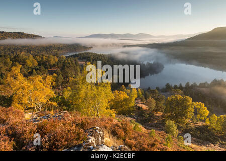 Über Loch Gamhna und Loch ein Eilein, Cairngorms National Park, Schottland, Großbritannien, Oktober 2015 Dawn. Stockfoto