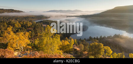 Über Loch Gamhna und Loch ein Eilein, Cairngorms National Park, Schottland, Großbritannien, Oktober 2015 Dawn. Stockfoto