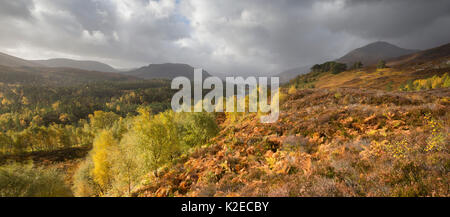 Blick nach Westen entlang Loch Affric zu Kintail Hügel, Glen Affric National Nature Rerserve, Schottland, Großbritannien, Oktober 2015. Stockfoto