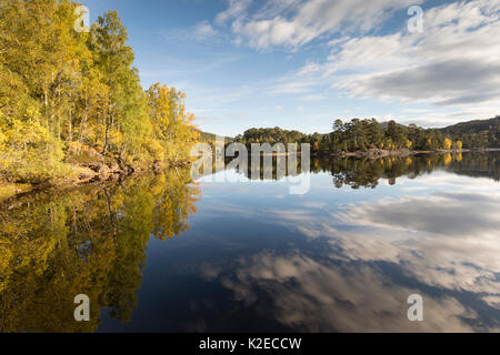 Baum Reflexionen in ein Loch Beinn Mheadhoin, Glen Affric, Highlands, Schottland, Oktober 2015. Stockfoto