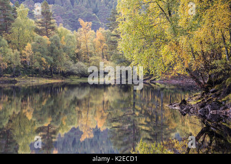 Reflexionen in ein Loch Beinn Mheadhoin, Glen Affric, Highlands, Schottland, Oktober 2015. Stockfoto