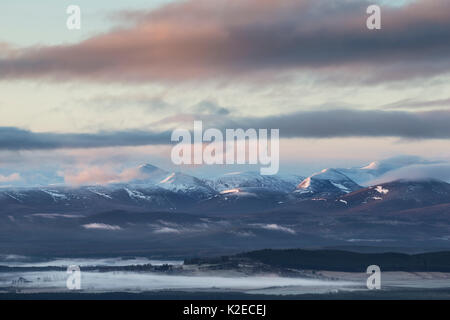 Blick nach Süden von Creag eine Righ in Richtung Cairngorm Mountains, Cairngorms National Park, Schottland, UK, März 2016. Stockfoto