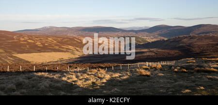 Blick über Patchwork von Grouse Moor im östlichen Grampians, Deeside, Cairngorms National Park, Schottland, UK, April 2016. Stockfoto