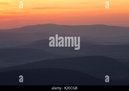 Sonnenaufgang über Abernethy Wald, Cairngorms National Park, Schottland, UK, Mai 2016. Stockfoto