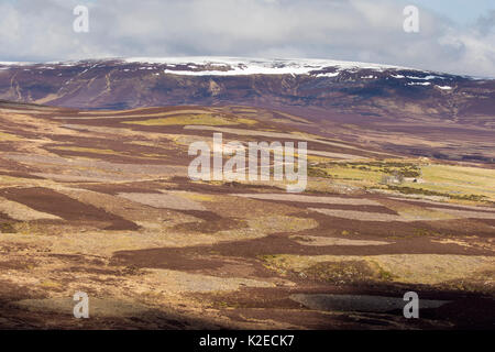 Patchwork der Berggebiete Heideland, Cairngorms National Park, Schottland, UK, April 2016. Stockfoto